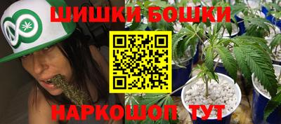 винт Камень-на-Оби