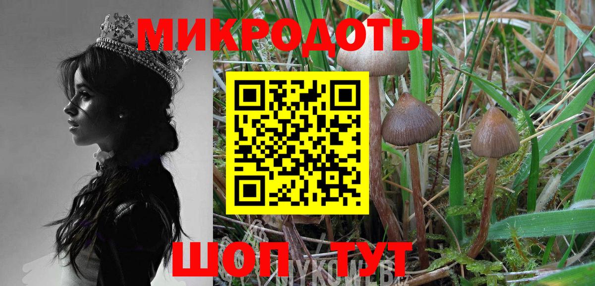 Псилоцибиновые грибы мухоморы  Вход с VPN  Кострома 