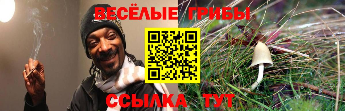 Псилоцибиновые грибы мицелий Кострома